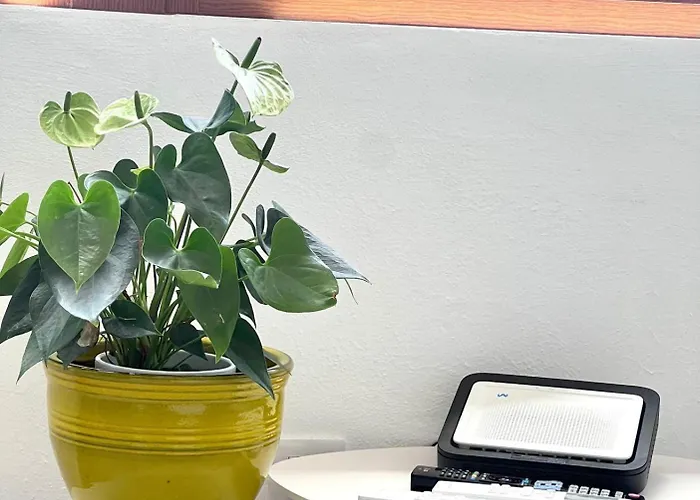 Апартаменты Atico Tartaga Адехе